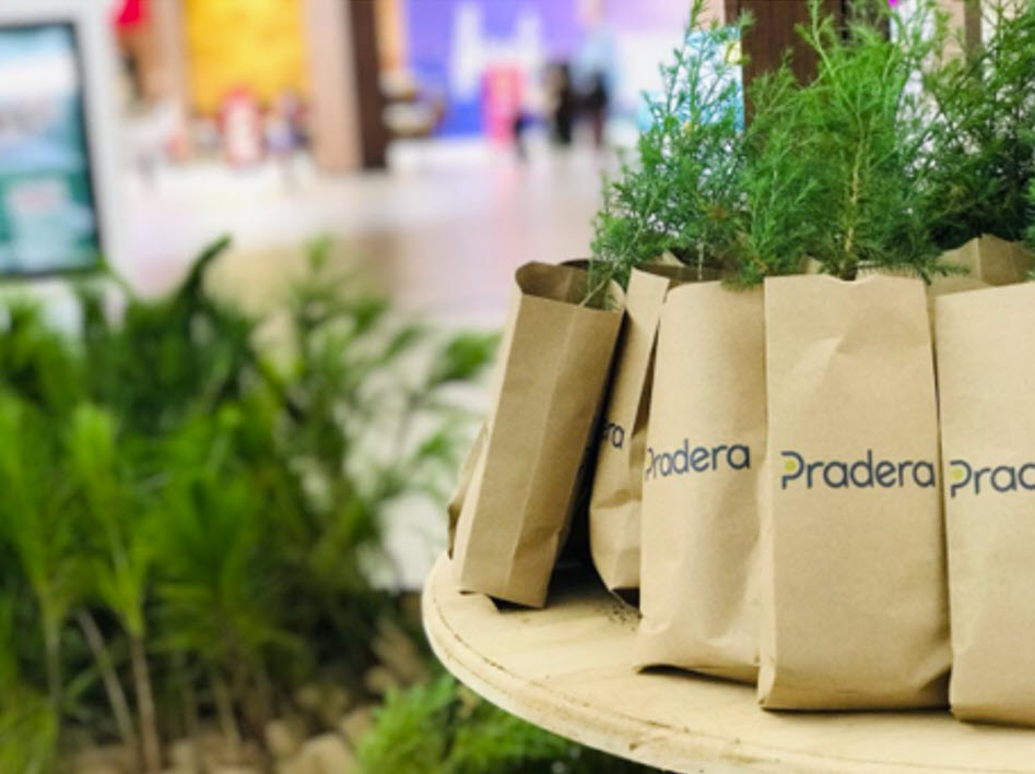 Centro Comercial Pradera
